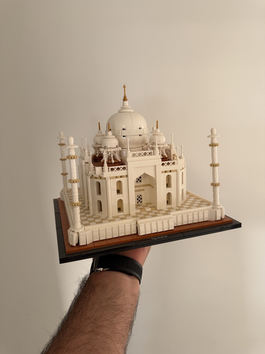 «TAJ MAHAL»
